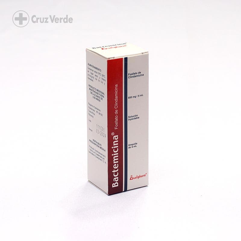 Bactemicina 600mg/4ml 1 Solucion Inyectable
