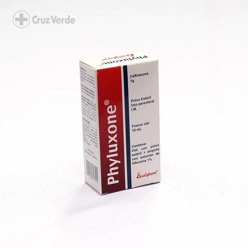 Phyluxone 1g 1 Solucion Inyectable Im